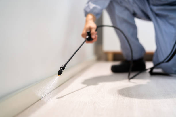 Licensed Exterminator service in Savannah, TN - Show Me Pest Control