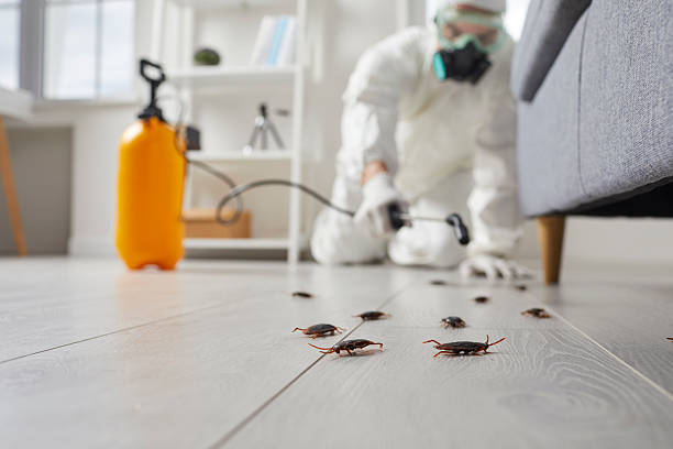 Commercial Rodent Management in Savannah